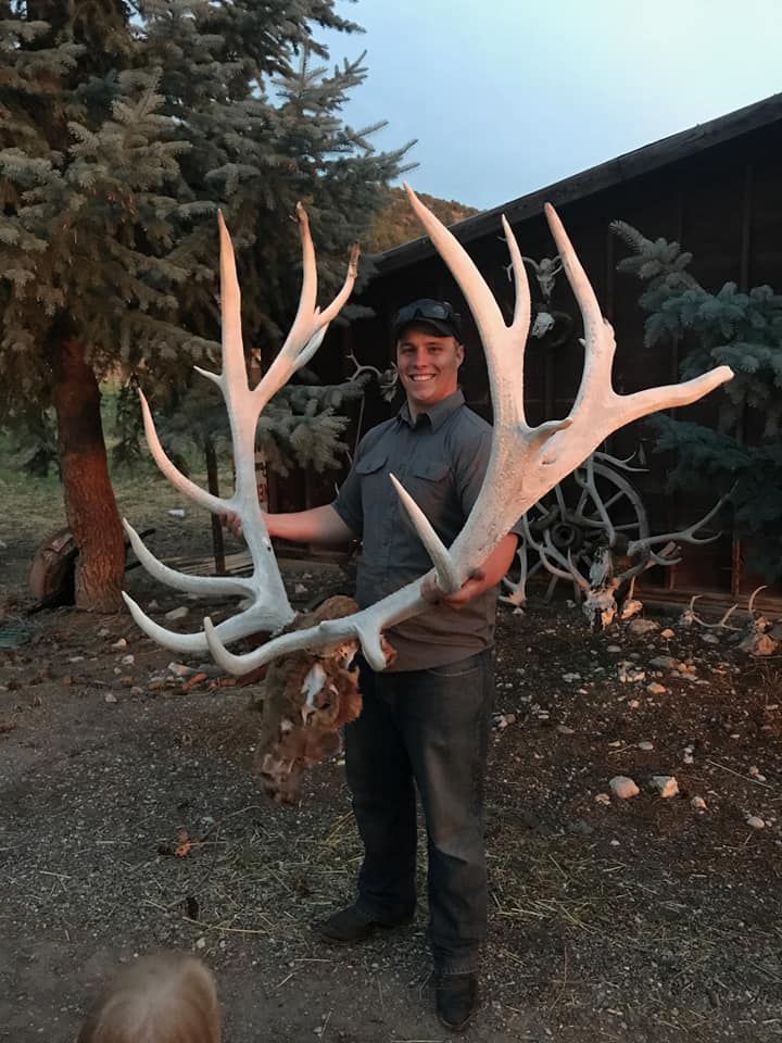 largest elk antlers